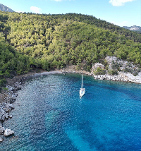 2013 JEANNEAU SUN ODYSSEY 509 15 M - Thumbnail Image